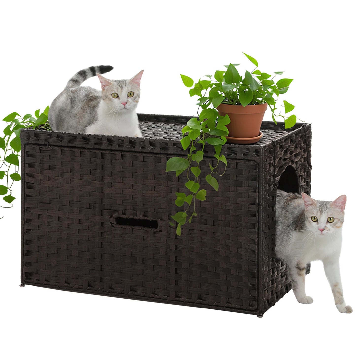 Rattan Cat Litter Box Enclosure Furniture.