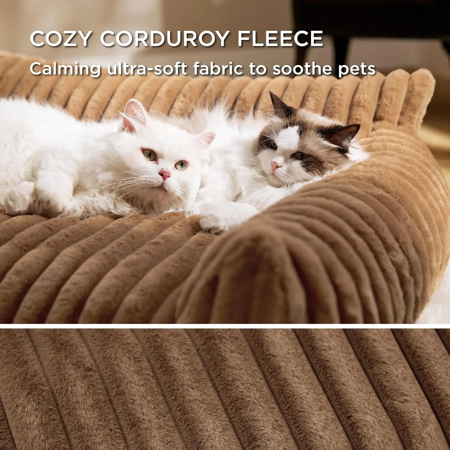 Cute Fluffy Cat Sofa.