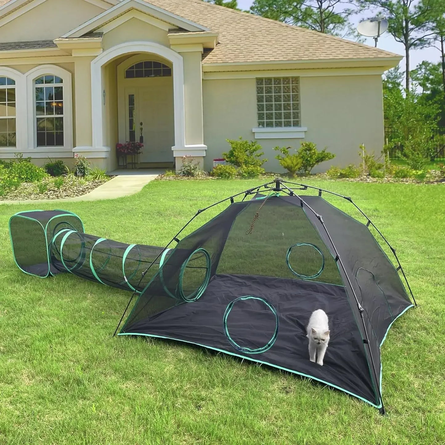 Outdoor Cat Play Tents and Tunnels.