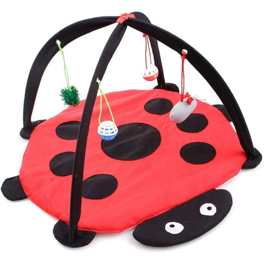 Cat Tent Activity Center.