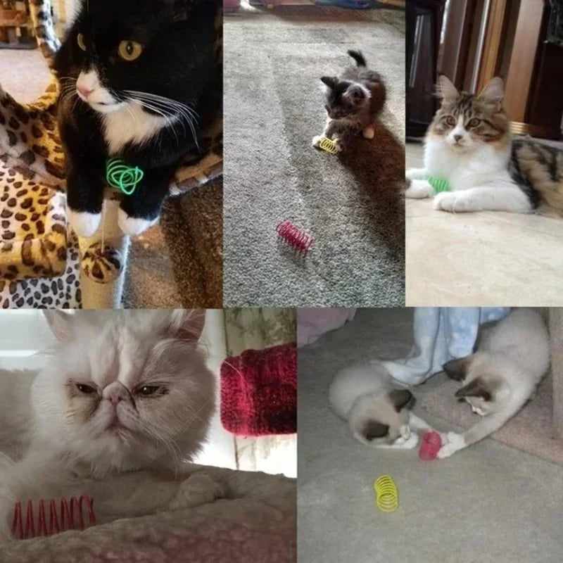 Cat Spring Toys.