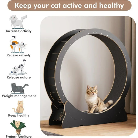 Cat Exercise Wheel.