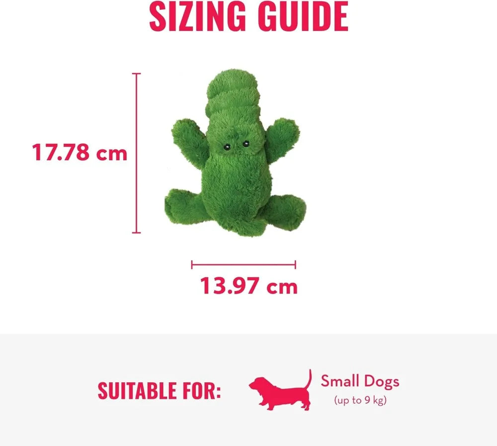 Small Alligator.