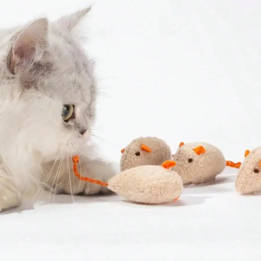 Set Rattle Cat Mouse Toy.