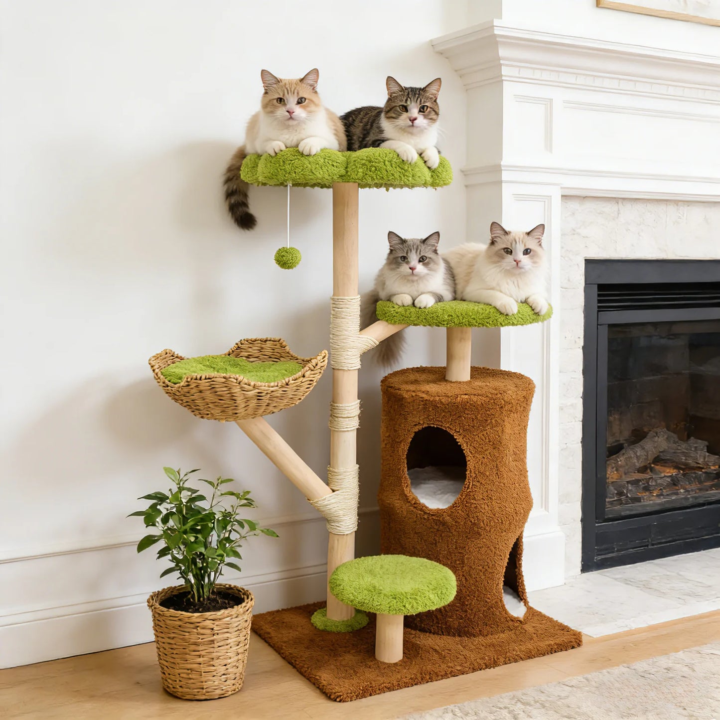 Tall Cat Tree.