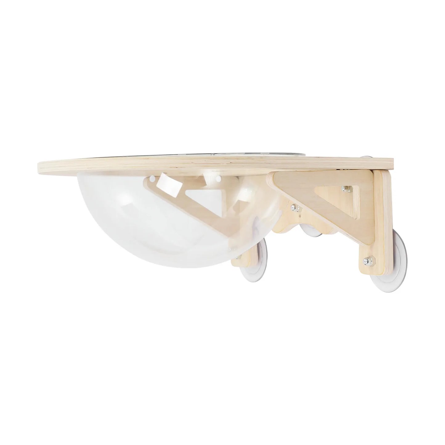 Wooden Cat Space Clear Capsule.