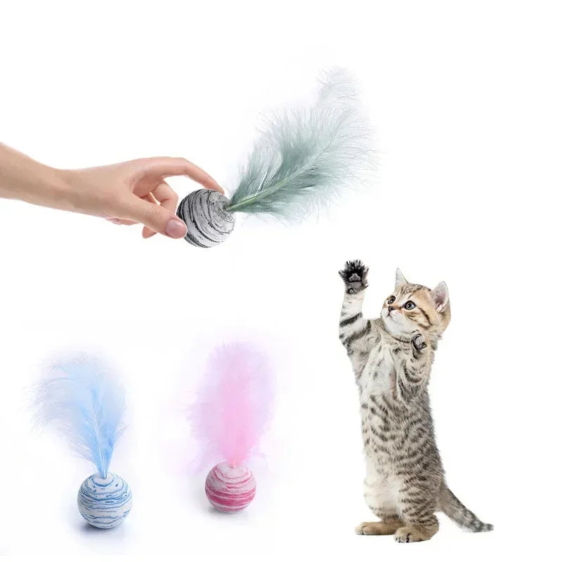 Cat Toy Ball Feather.