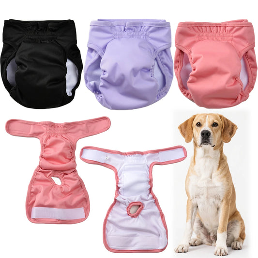 Female Dog Diaper.