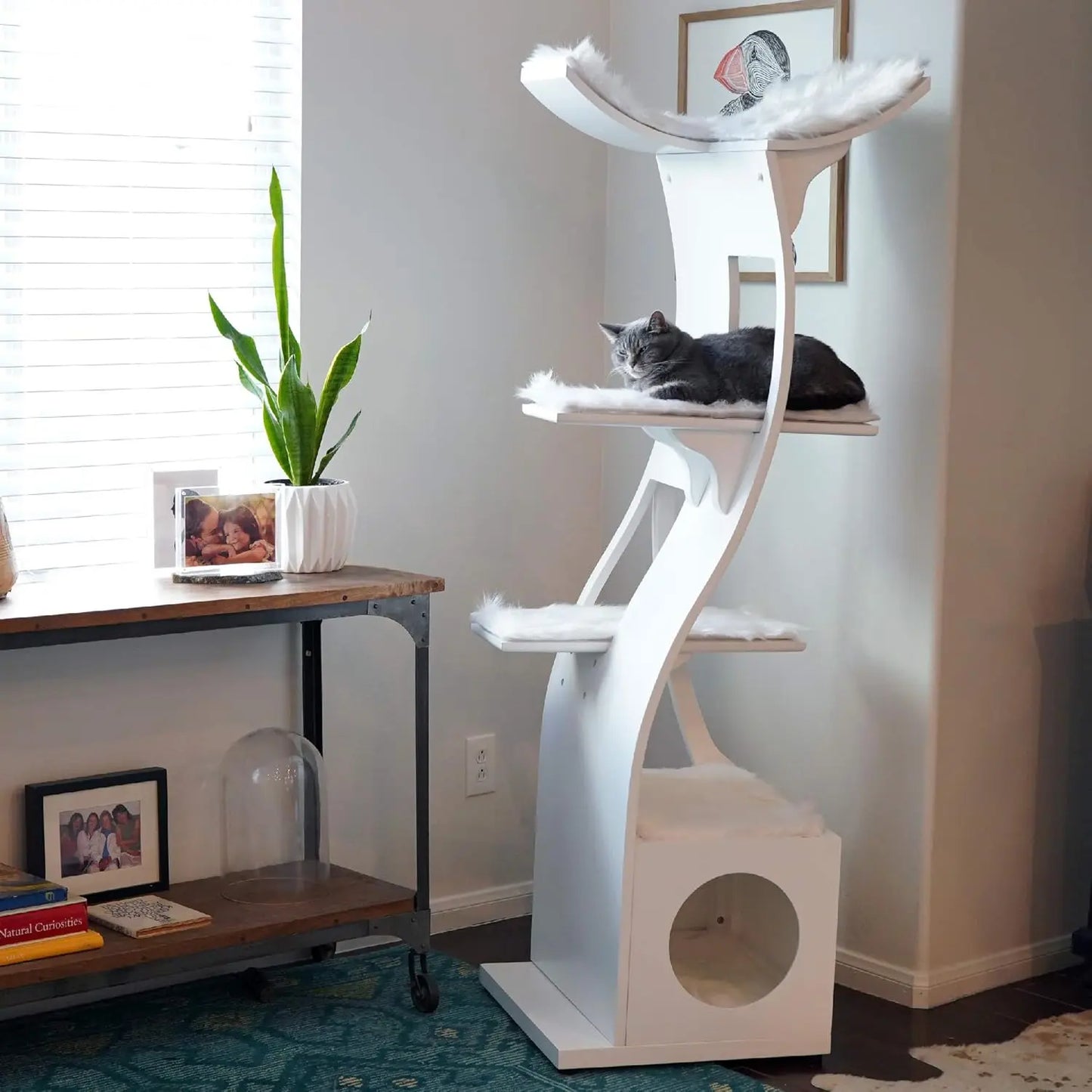 Cat Tower.