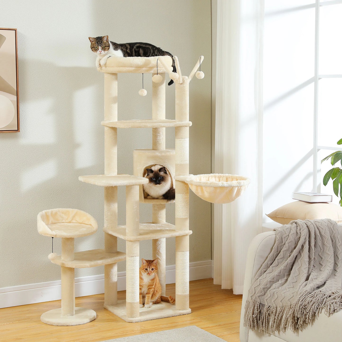 Tall Cat Tree.