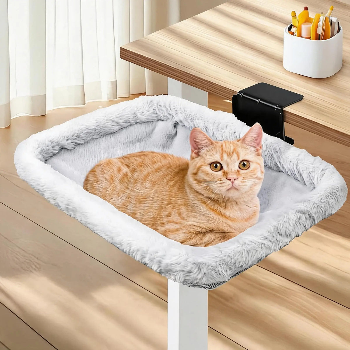 Fold-Down Cat Desk Bed.