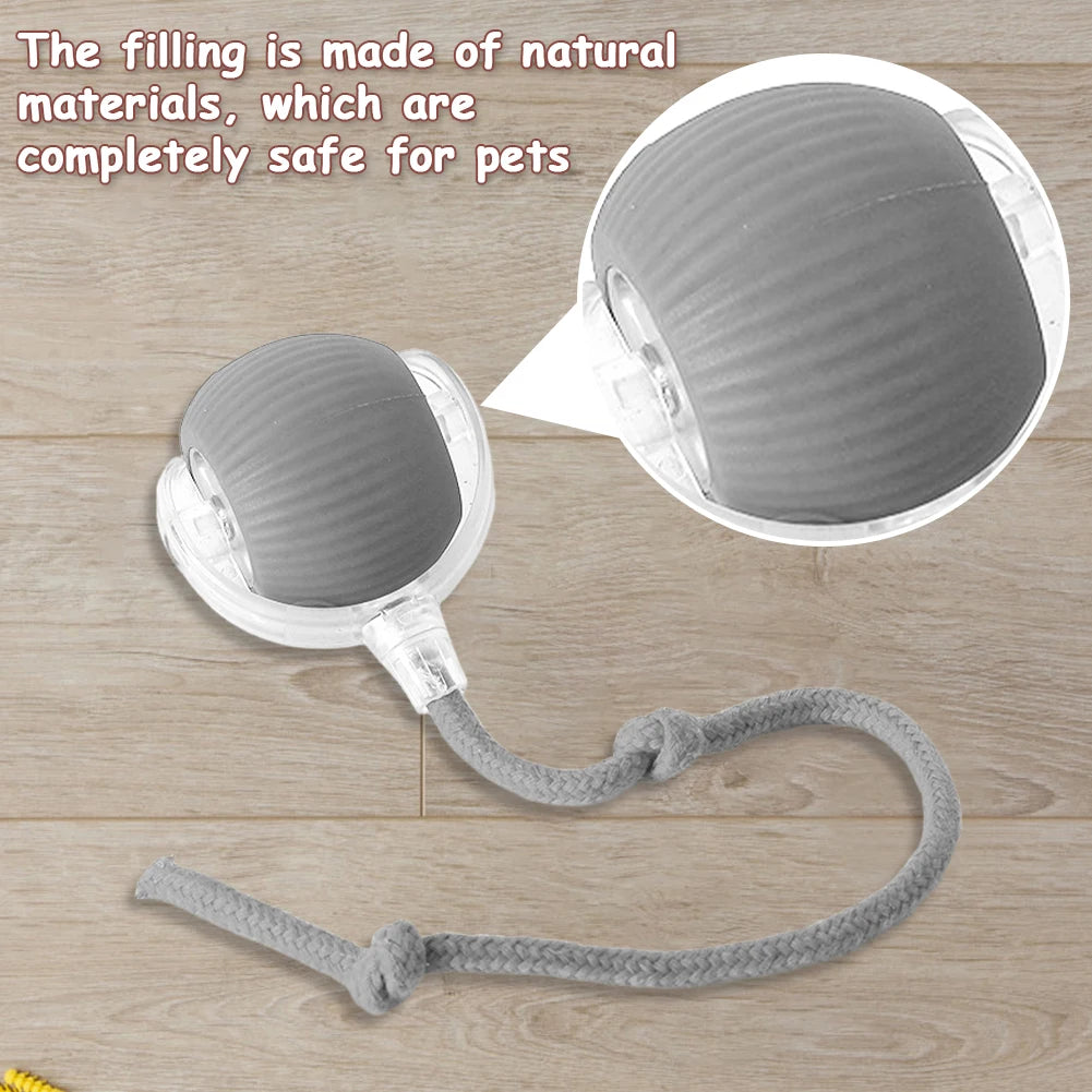 Cat Interactive Ball Toy.