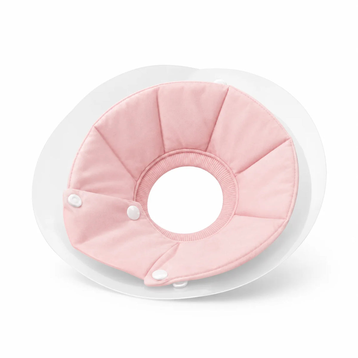 Soft Cat Recovery Collar.