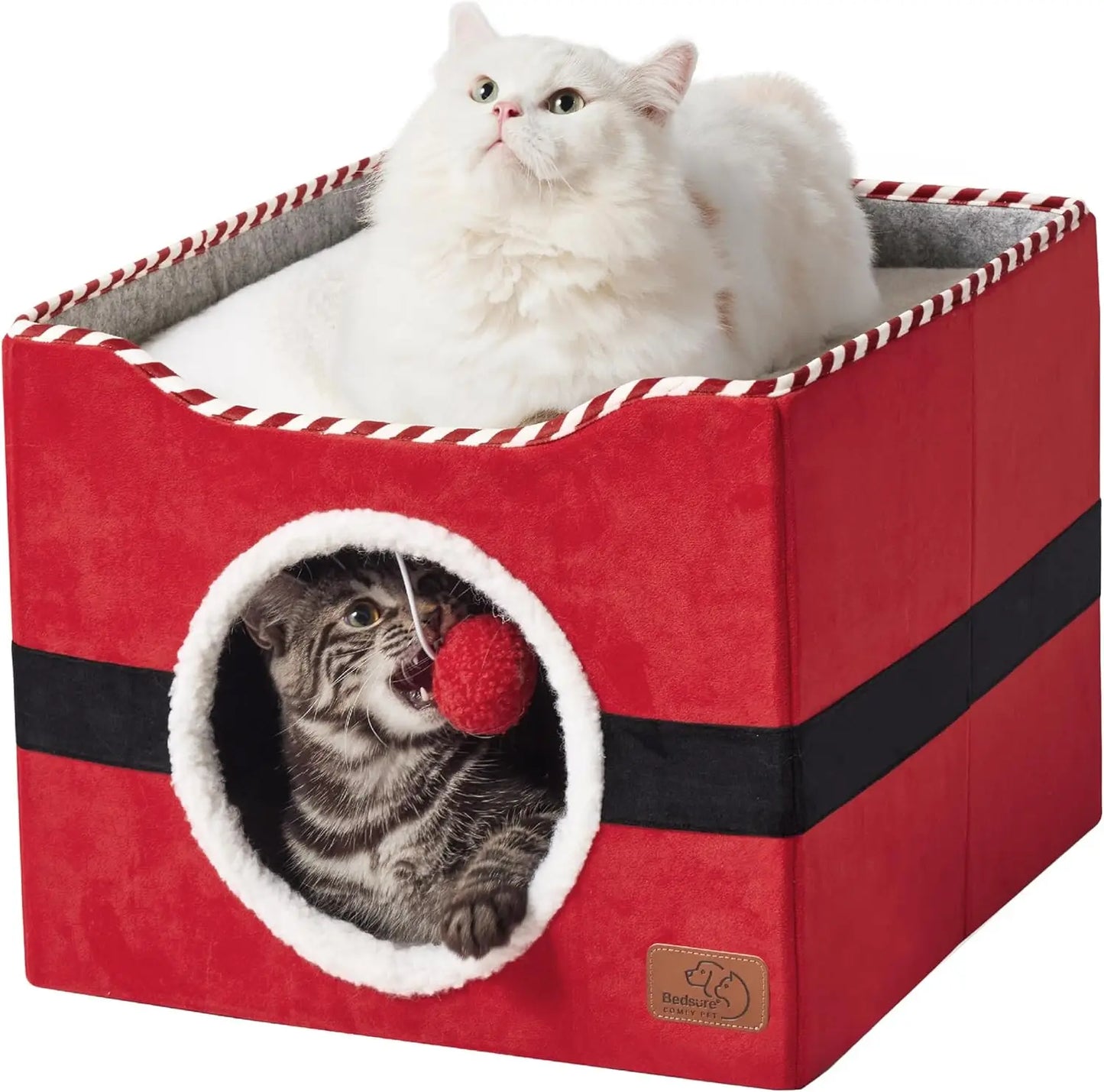 Wide Cat House.