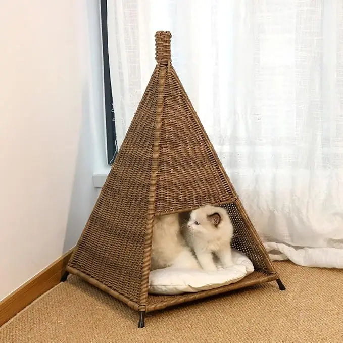 Cats Hammock.