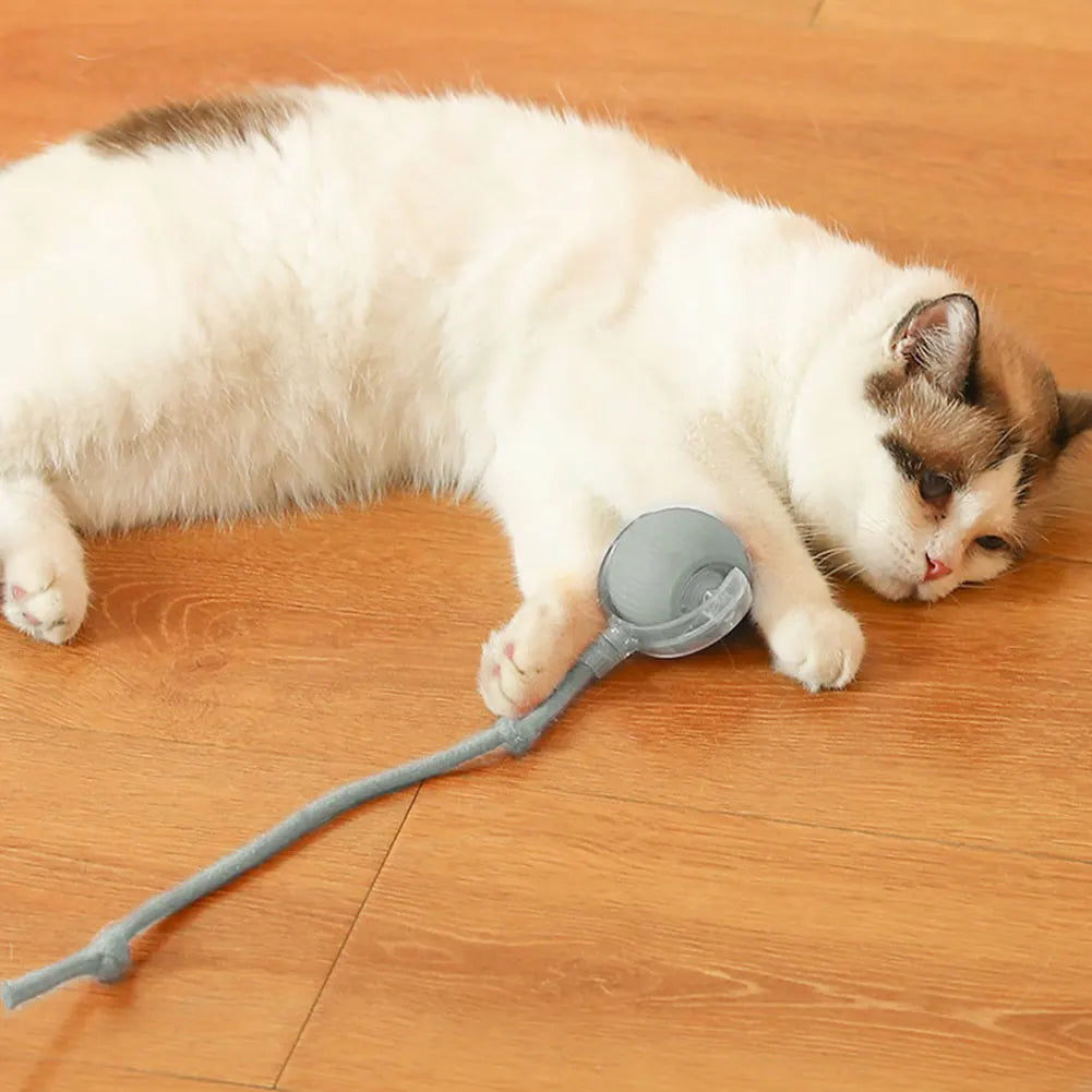 Cat Interactive Ball Toys.