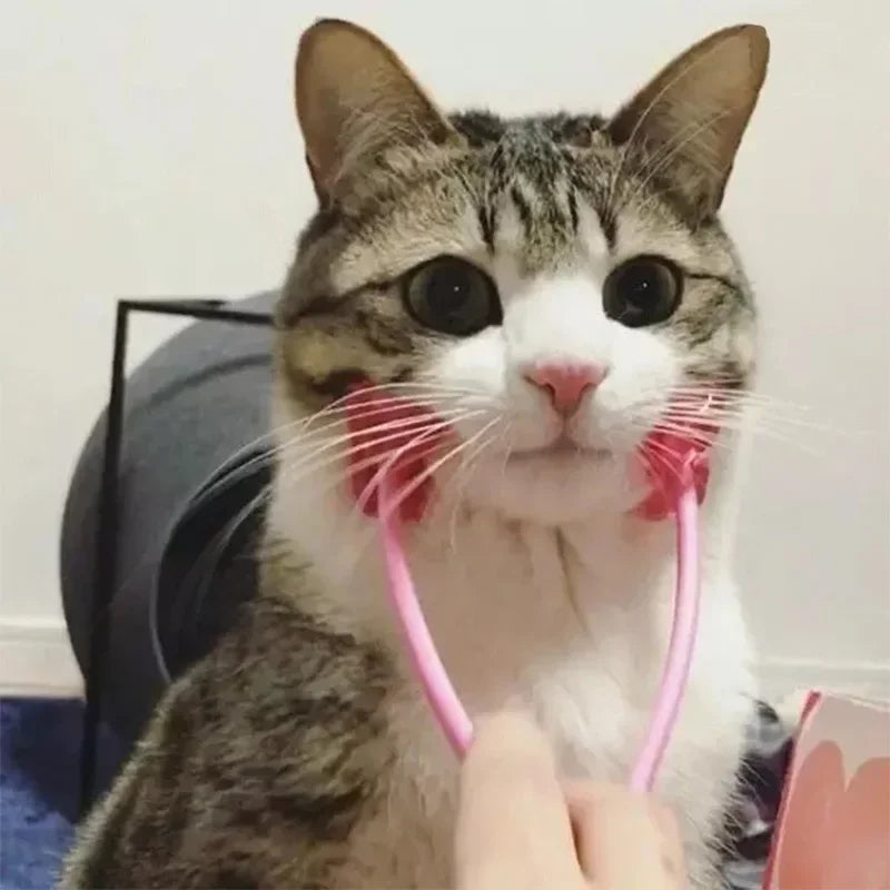 Multifunction Cat Thin Face Massager.