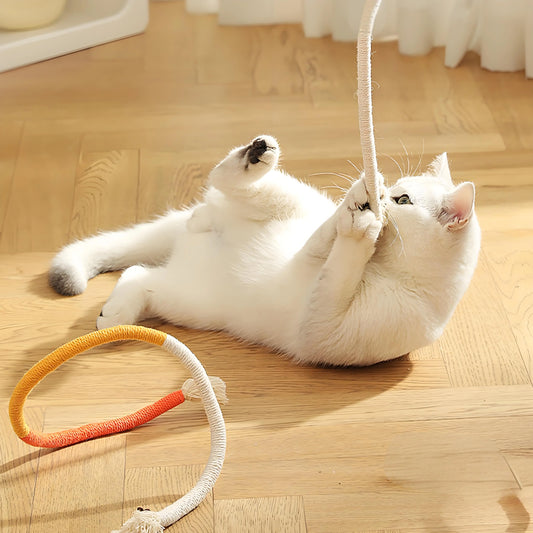 Cat Chew Toys Set.