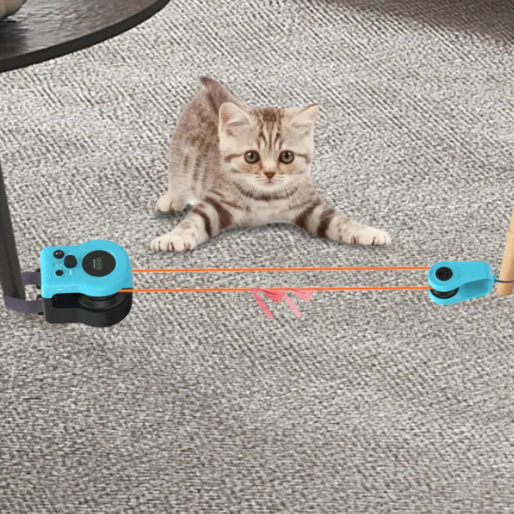 DIY Mouse Hunting Toy.