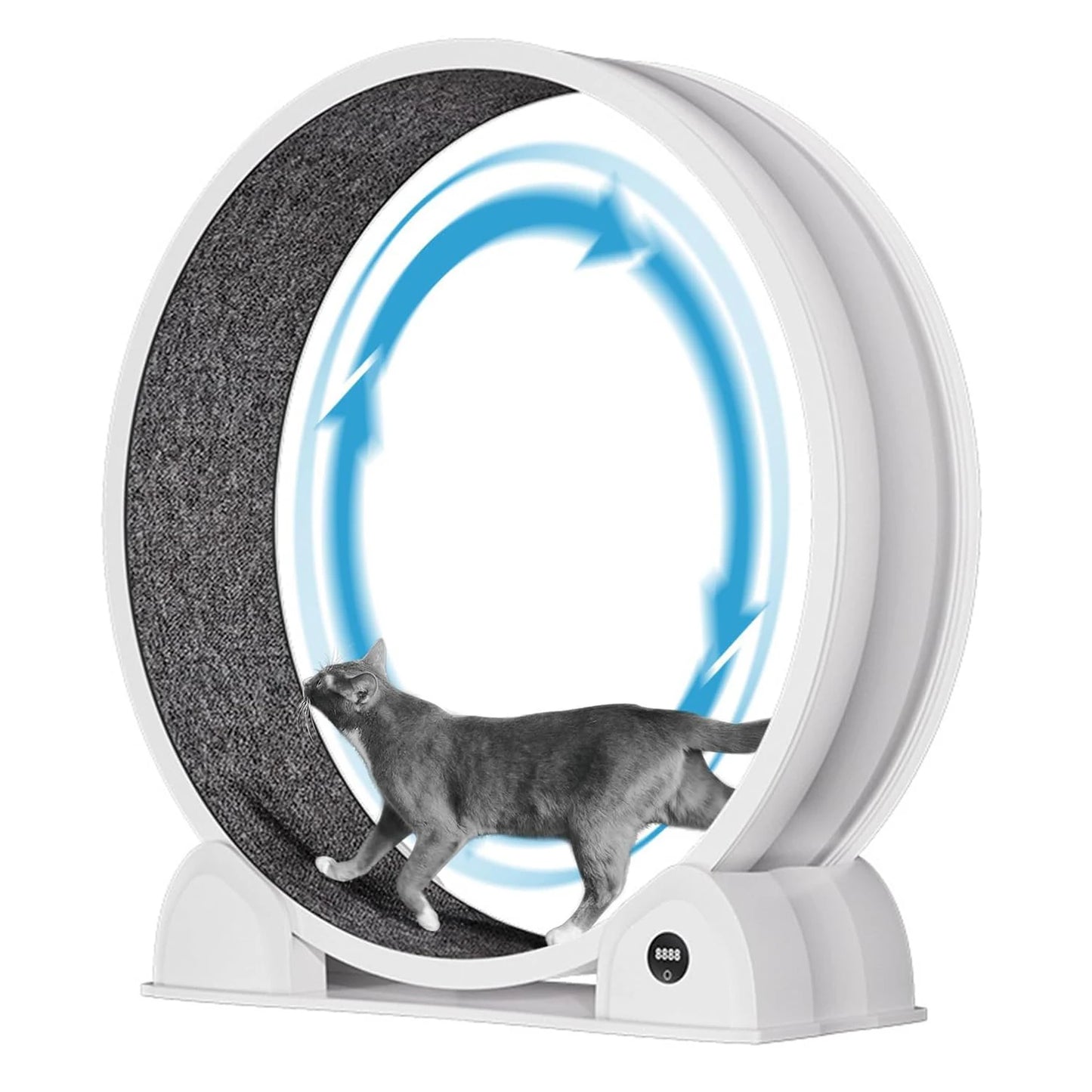 Cat Exercise Wheel.