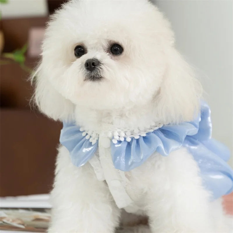 Small Pet Tutu Dress.