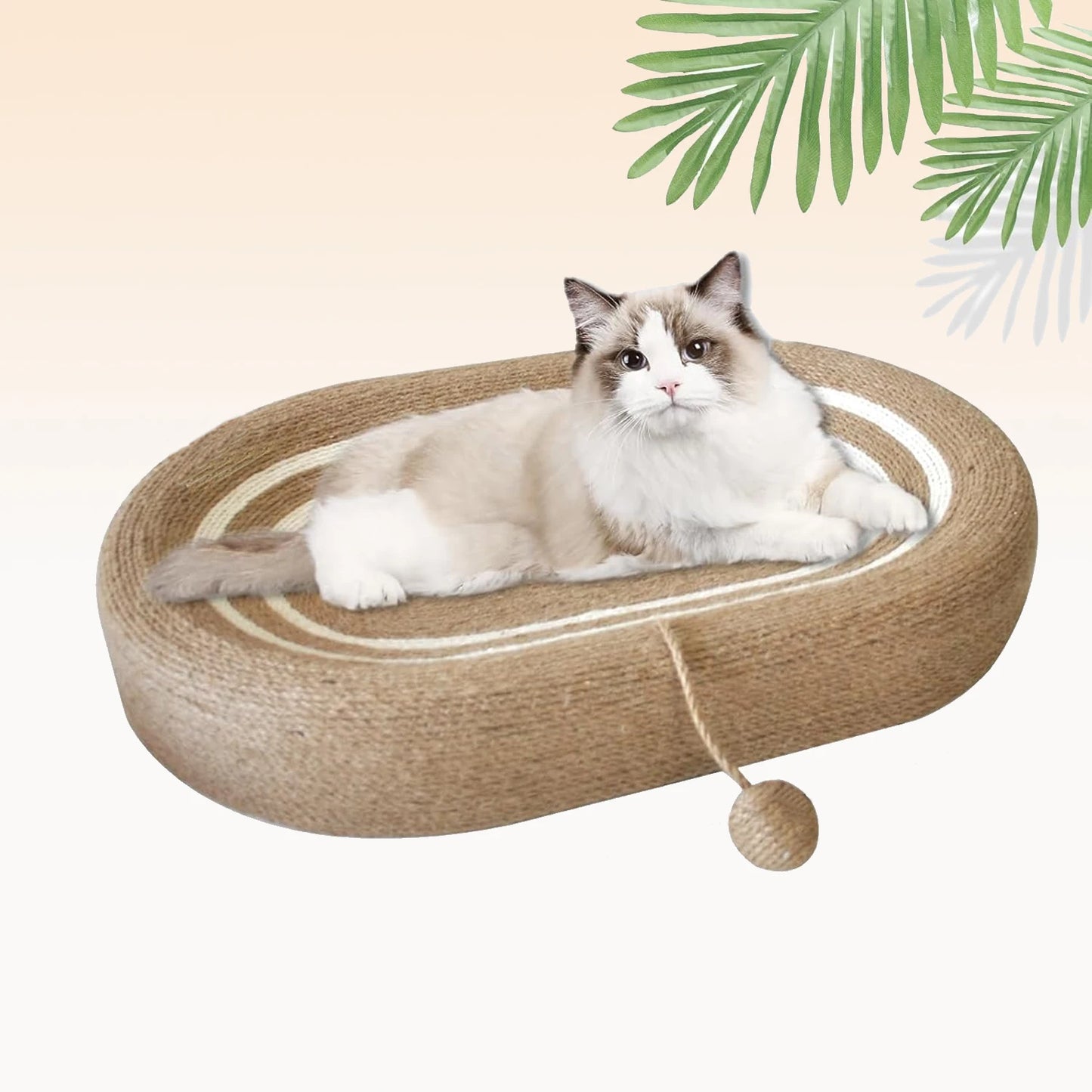 Cat Scratching Bed.