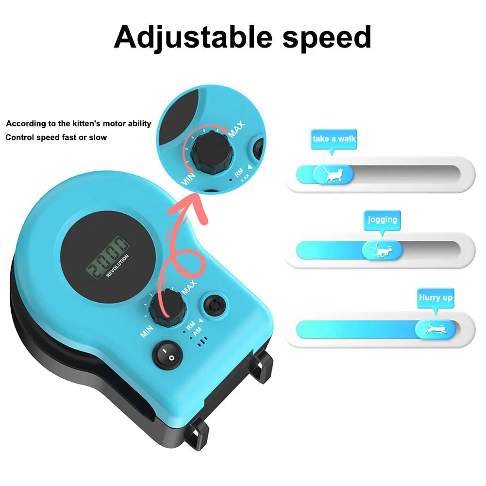 Interactive Cat Toy.