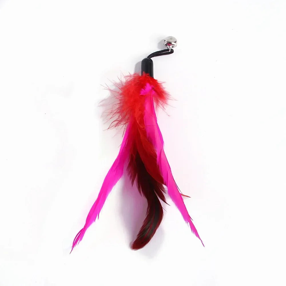 Cat Toy.