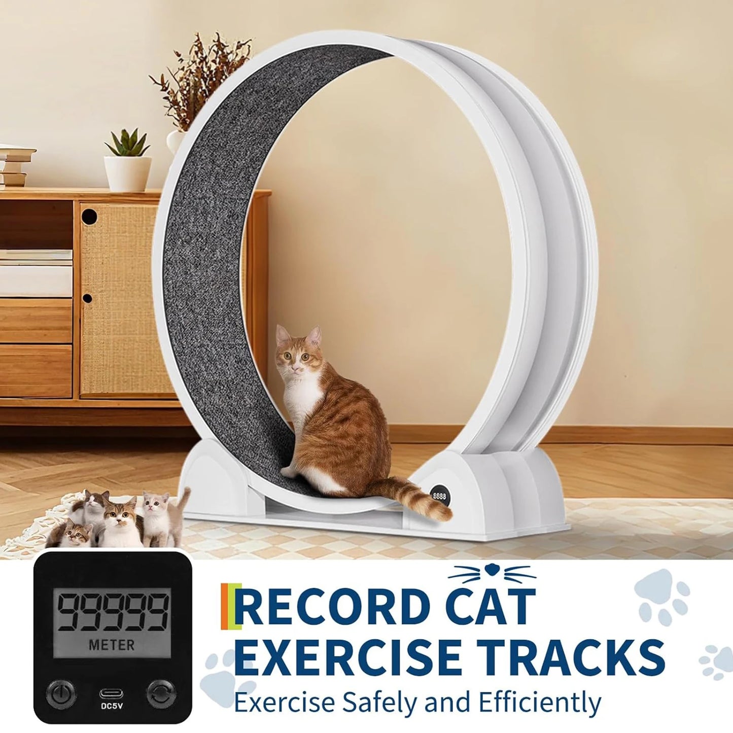 Cat Exercise Wheel.