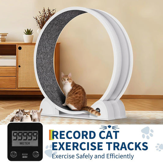 Cat Exercise Wheel.
