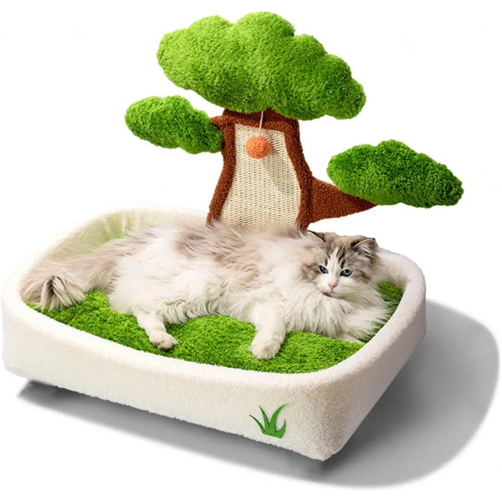 Cat Scratching Post with Bed.