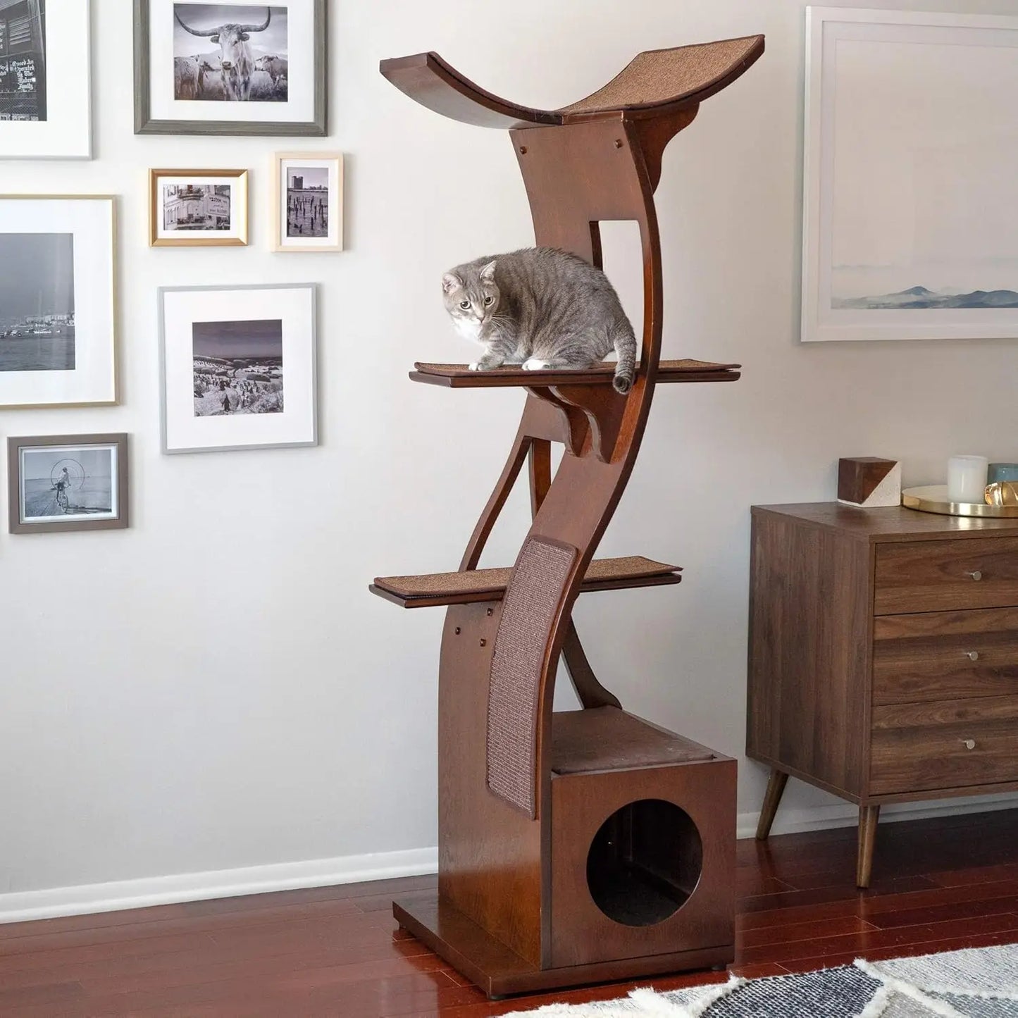 Cat Tower.