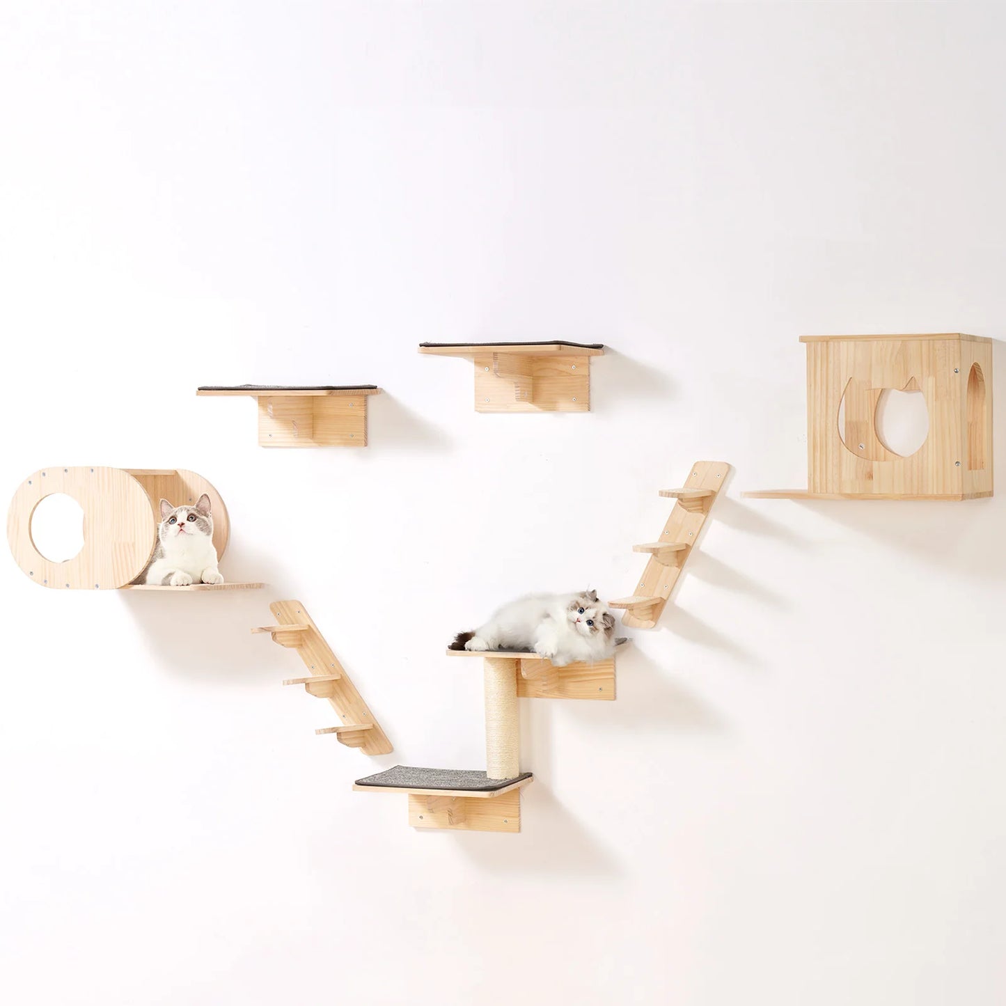 SucceBuy Cat Shelves.