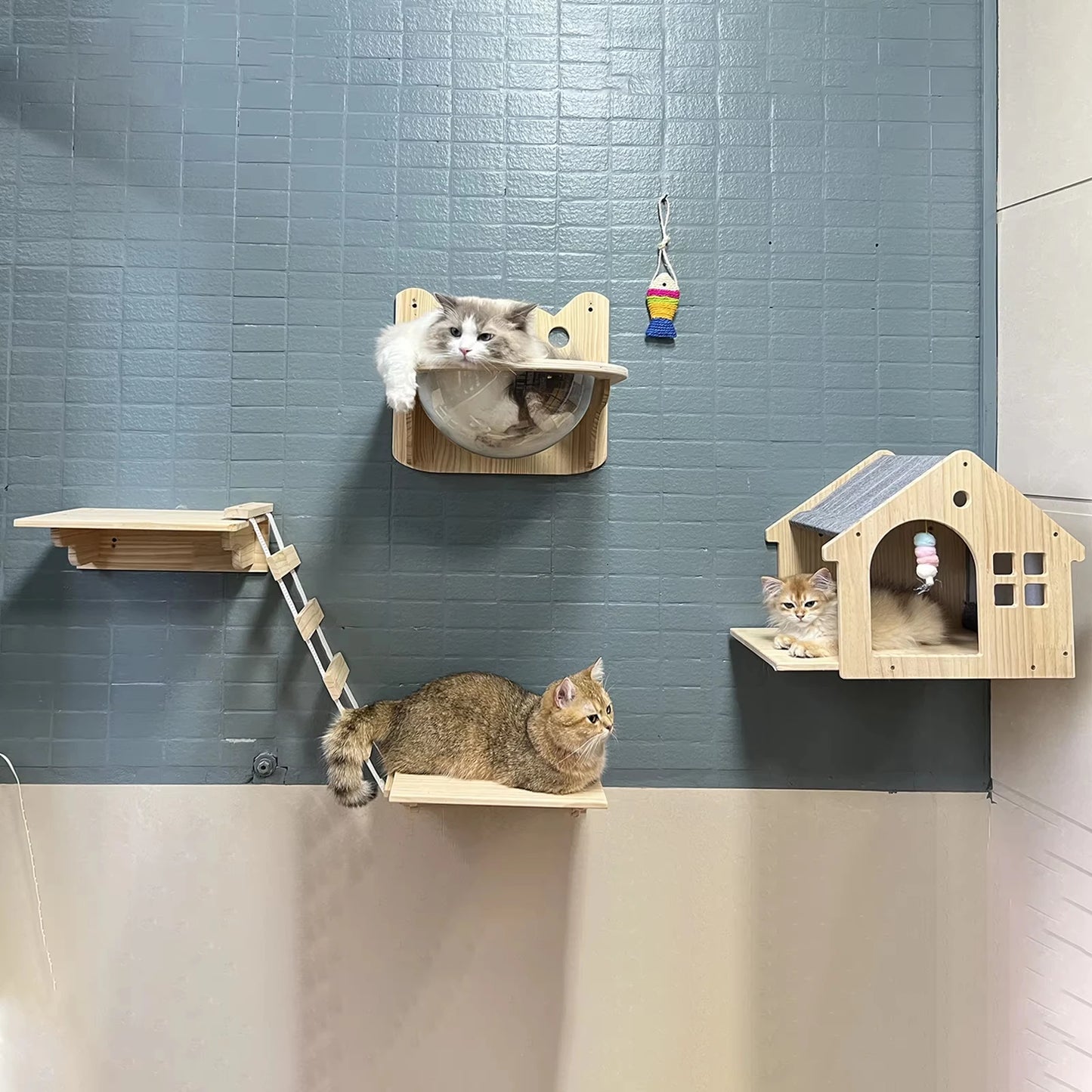 Wall Mounted Cat Condo Villa.