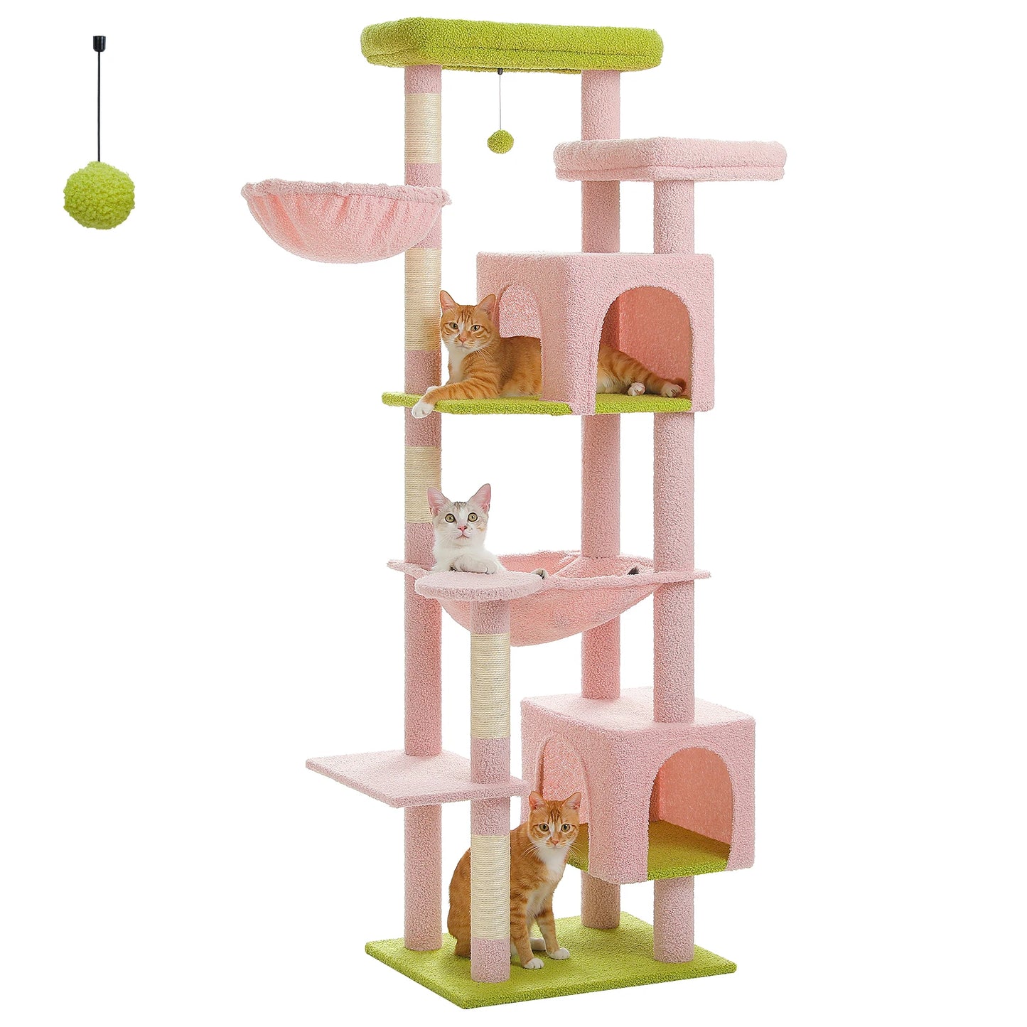 Cat Tree.