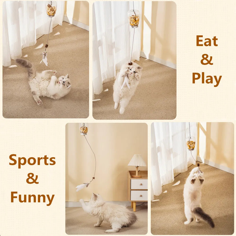 Cat Toy Interactive.