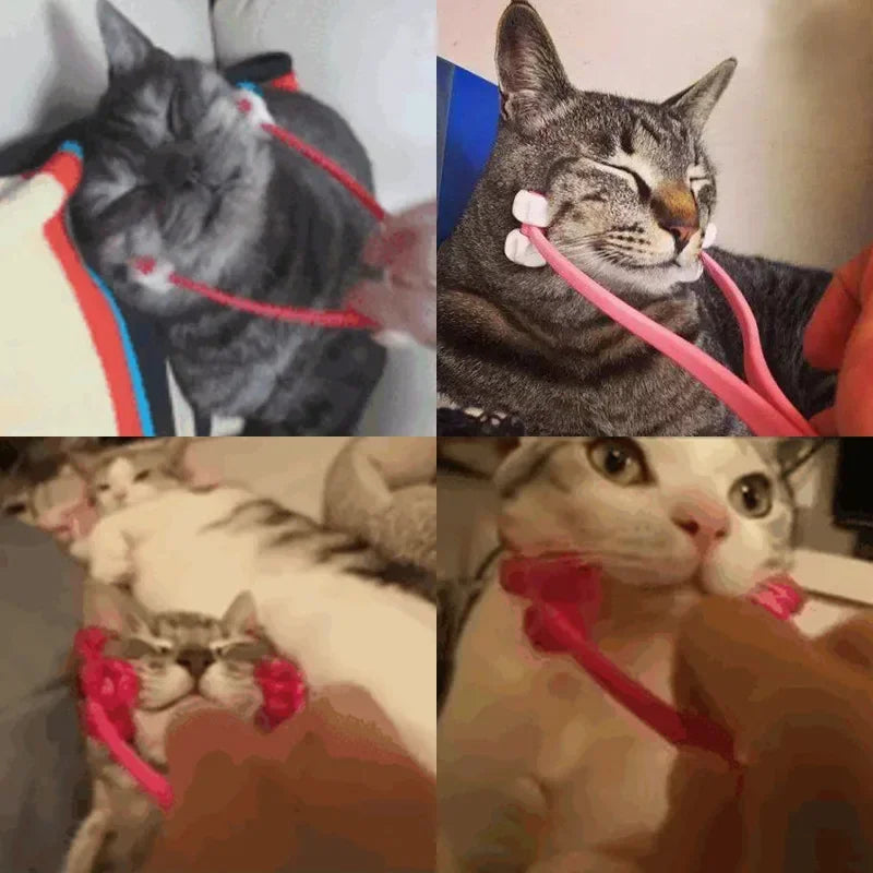 Multifunction Cat Thin Face Massager.