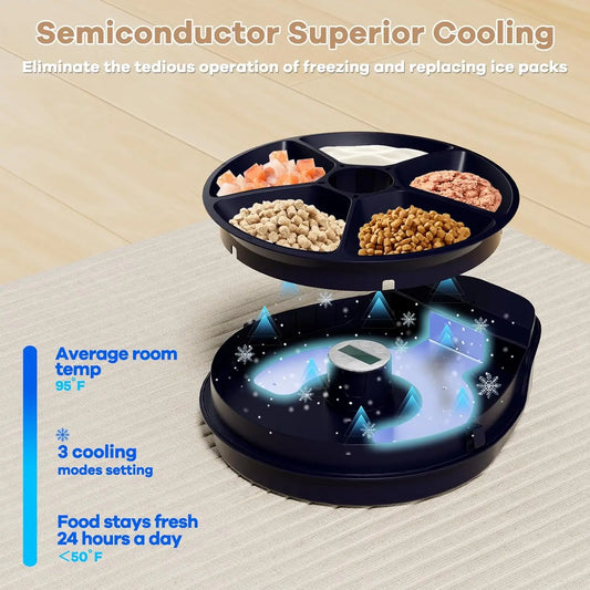 Automatic Cat Feeder.