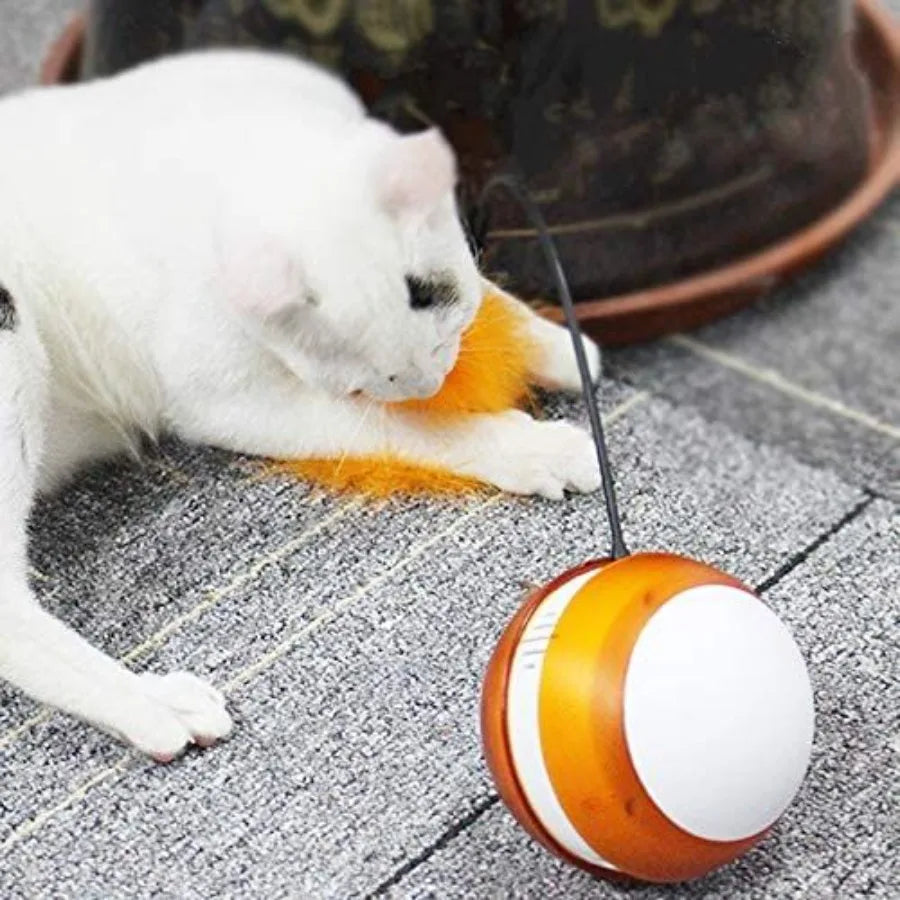 Rolling Pet Toys.
