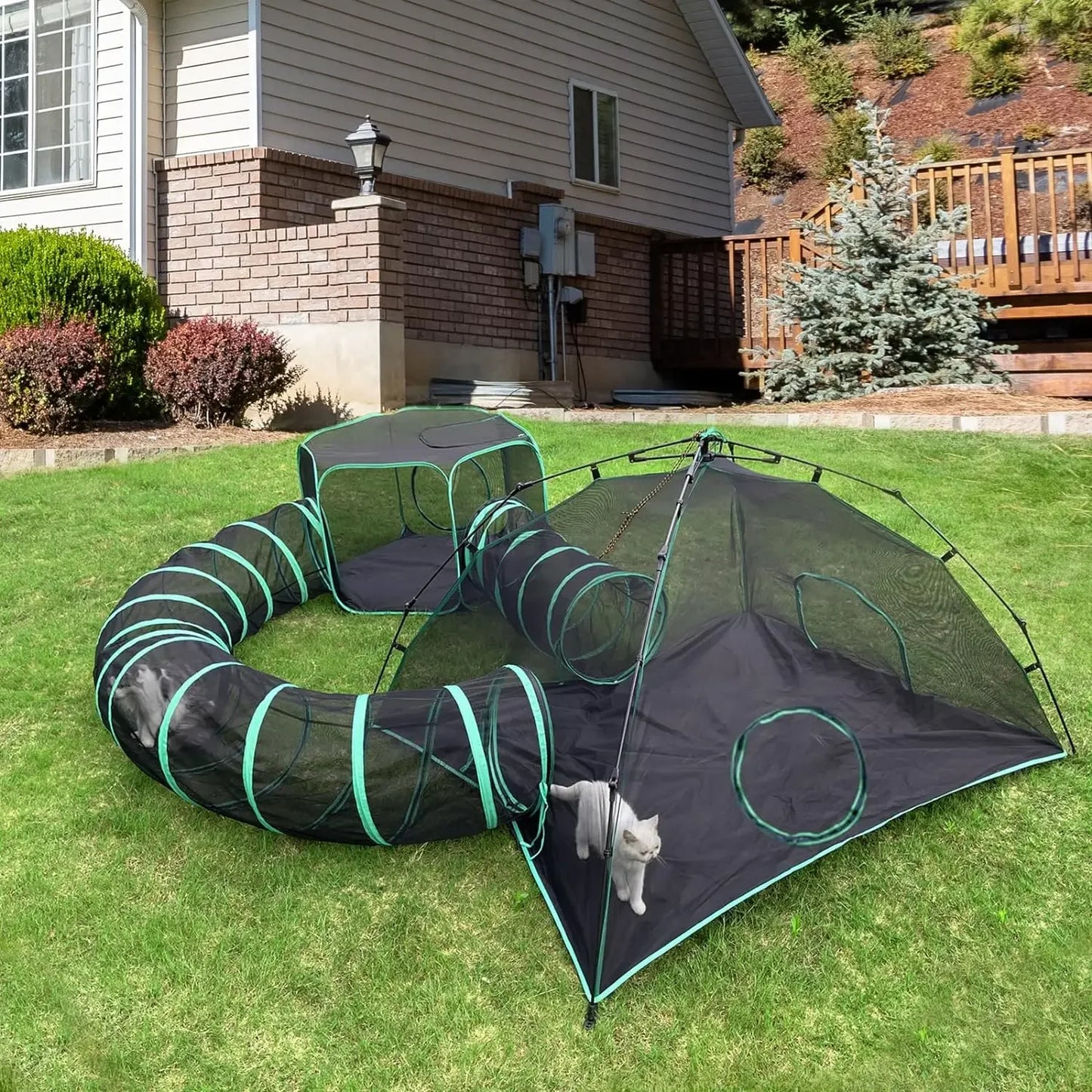 Outdoor Cat Play Tents and Tunnels.