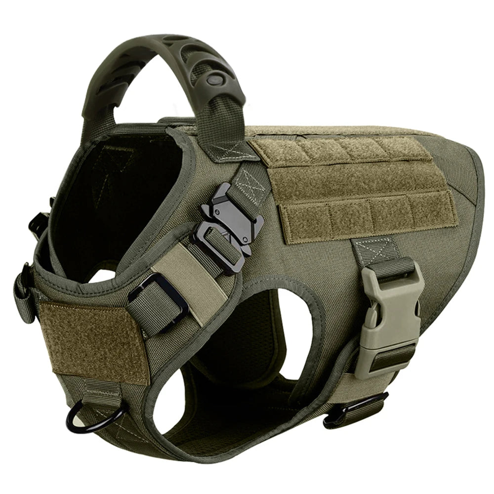 Large Dog Harness and Leash Set.