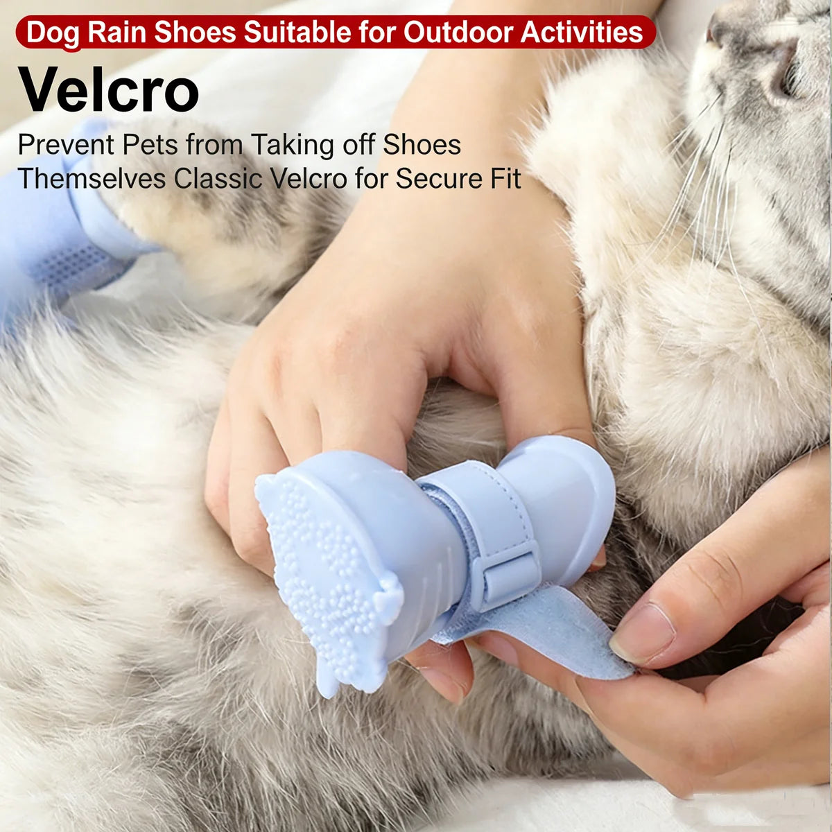 Pet Rain Boots.