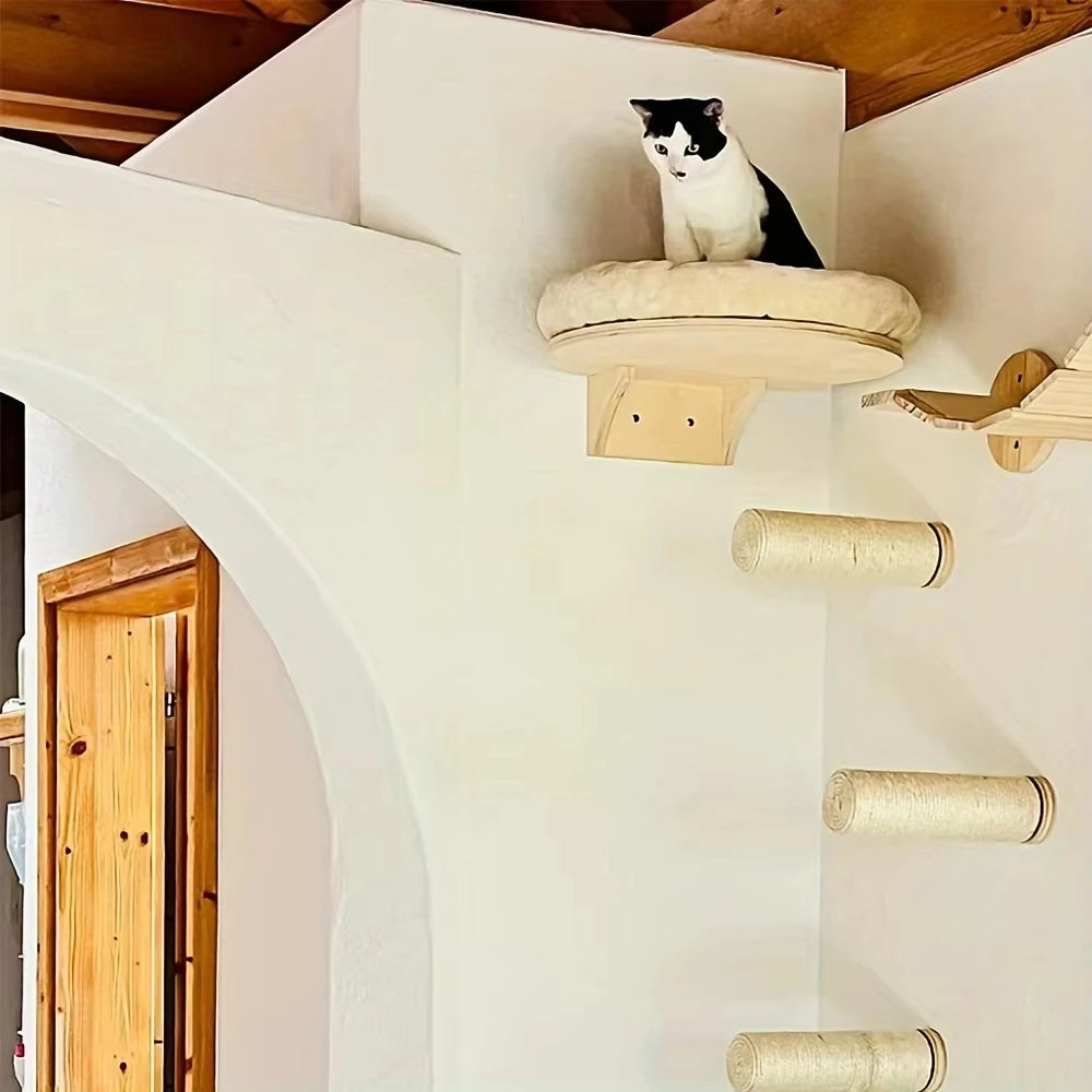 Cat Wall Mounted.