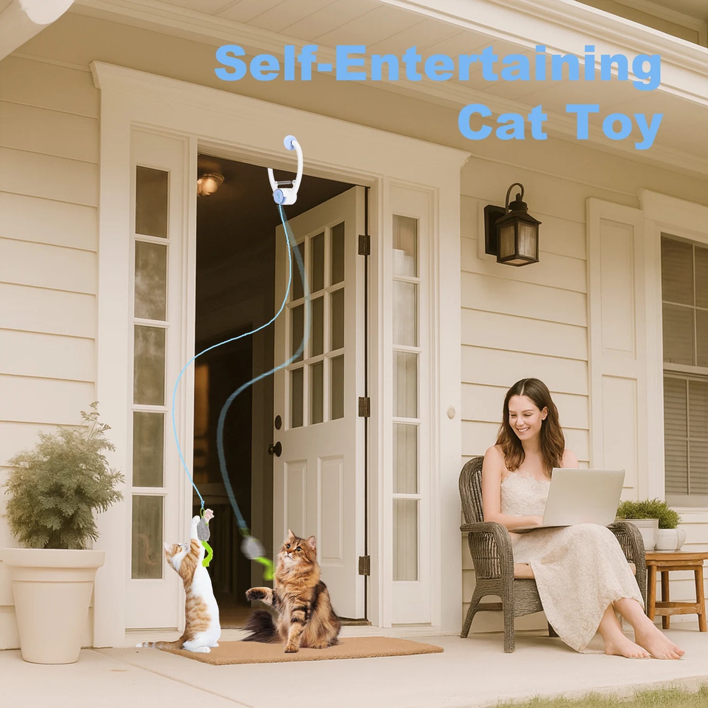 Electric Door Hanging Cat Toy.