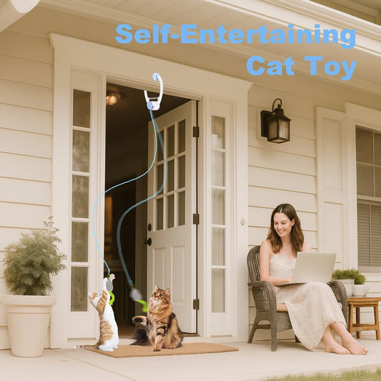 Electric Door Hanging Cat Toy.