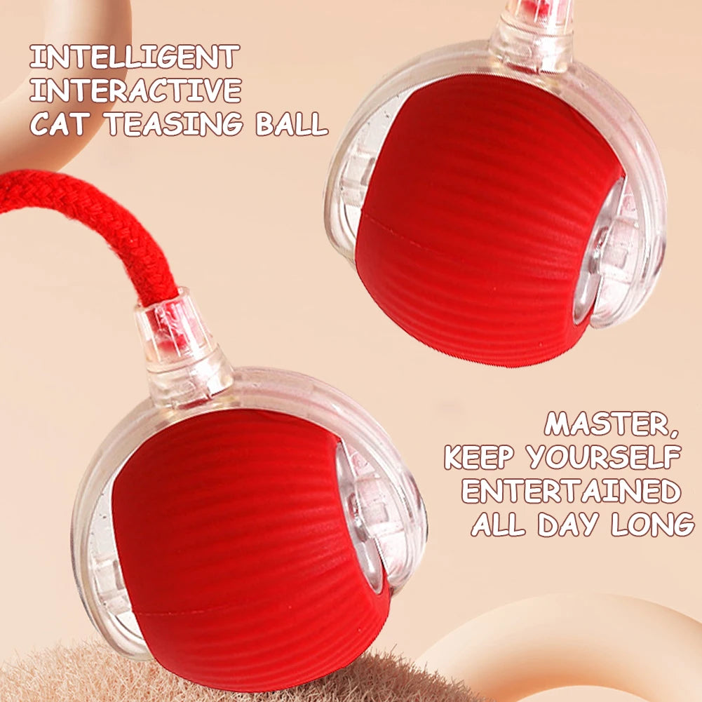 Cat Interactive Ball Toy.