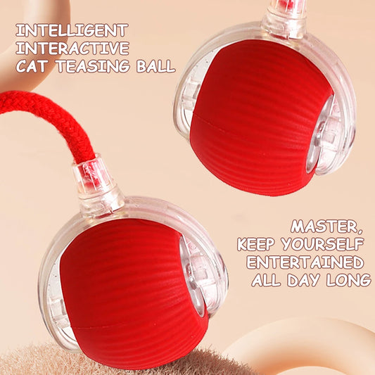 Cat Interactive Ball Toy.