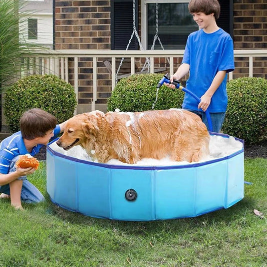 Dog Swimming Pool.