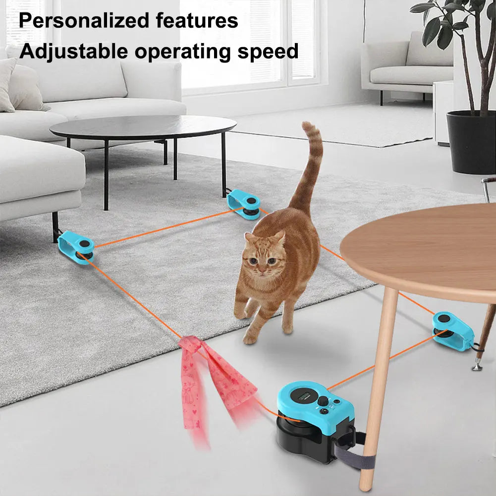 Interactive Cat Toy.