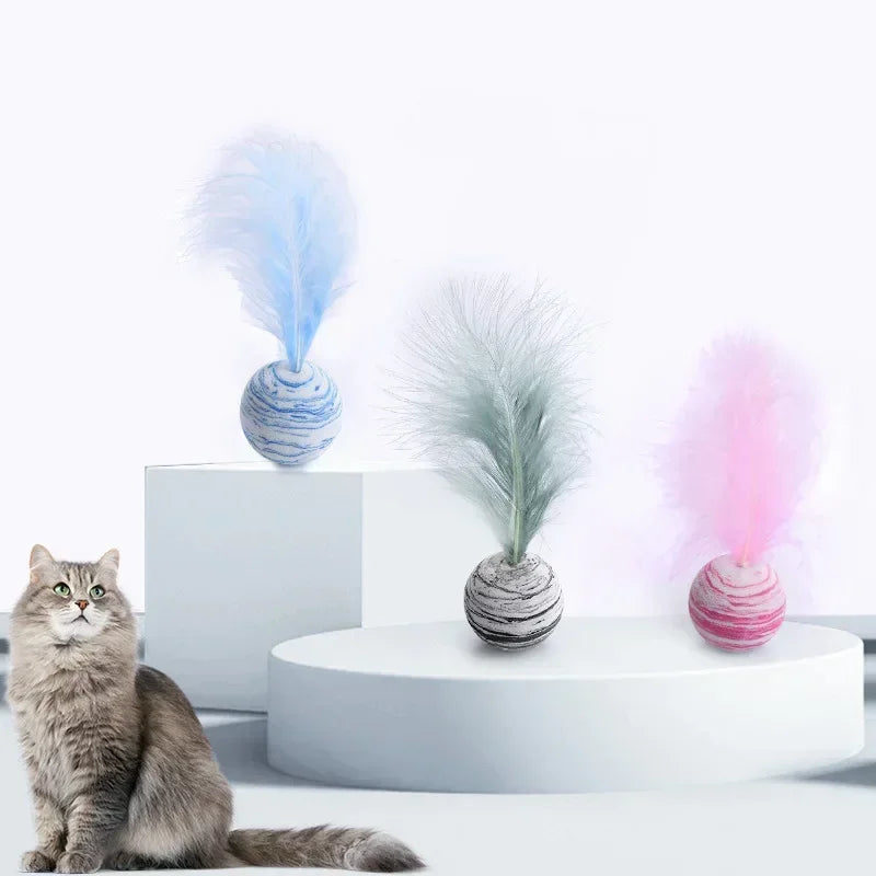 Cat Toy Ball Feather.